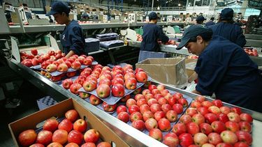 Esperan nuevas restricciones a productos agroalimentarios en el mundo
