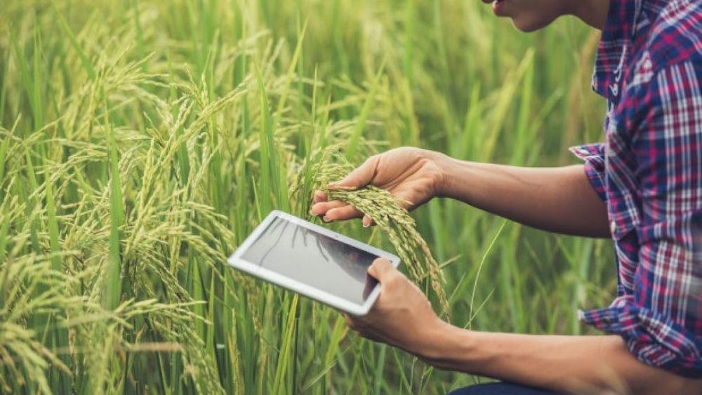 Remarcan que Argentina es "un buen escenario para empezar una agtech"