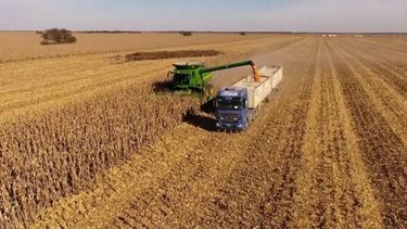 Reclaman poner en marcha proyectos de ley para apuntalar al agro