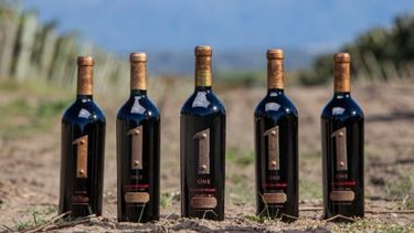 La bodega fue galardonada por su compromiso inquebrantable con la calidad, la innovación y la sostenibilidad en la elaboración de vinos.