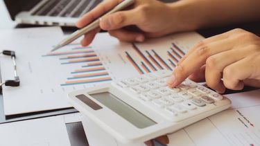 La capacidad de adaptación de las empresas locales. La capacidad de adaptación de las empresas locales.