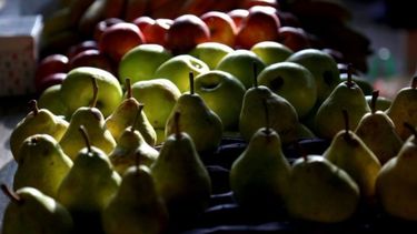 Las exportaciones de peras y manzanas subieron más de 5% en el año