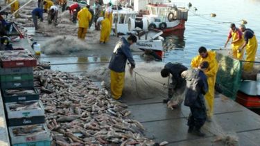 Nuevas medidas para evitar la subfacturación de exportaciones