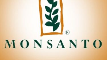 Monsanto reporta ganancias mayores a las estimadas