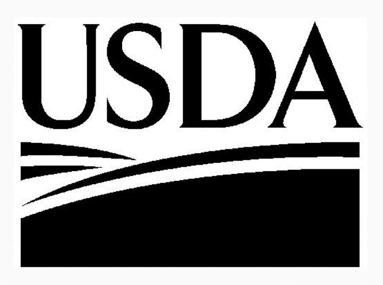 USDA mantuvo las estimaciones para cosechas de soja y maíz de Argentina
