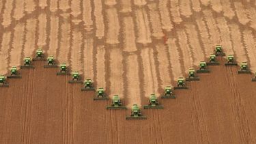 Las proyecciones sobre la cosecha de granos en Brasil.