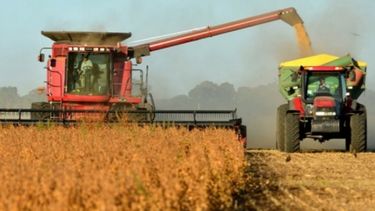 Mejoran las expectativas sobre siembras de soja y maíz en Estados Unidos