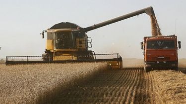 El valor bruto de la cosecha 2016/17 se redujo un 2,3%