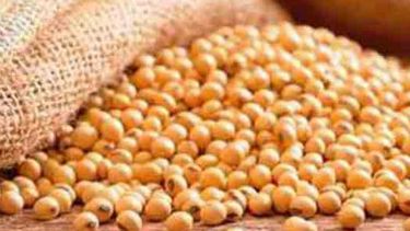 Según especialistas, un 35 por ciento de las retenciones a la soja no sería suficiente