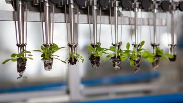 Invertir en Agtech, un negocio garantizado