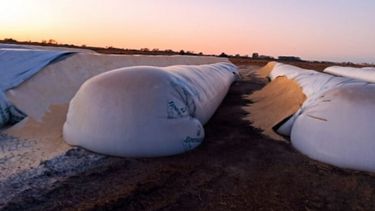 El campo reclama una "respuesta rápida" al Gobierno por la destrucción de silobolsas