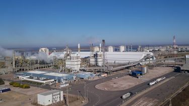 La producción de la compañía en la zona de Bahía Blanca.