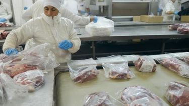 Exportaron 56 toneladas de carne a China desde el Puerto de la Plata