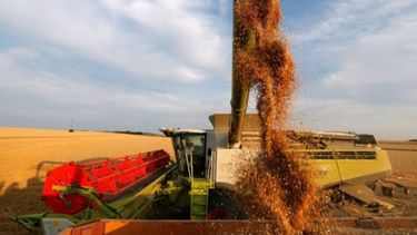 Acopiadores de cereales buscan que Agricultura tengan un rol mayor