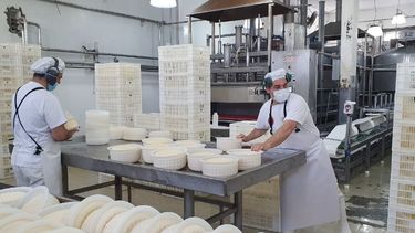 Las estadísticas de la producción de leche en Argentina.