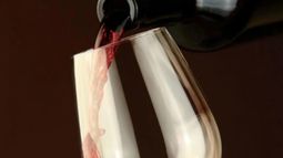 El malbec explica el 55% de la exportación de vinos argentinos