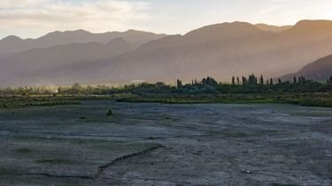 CAME alertó sobre un problema que afecta a las economías regionales