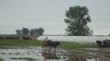 El mal clima también afecta a las producciones del litoral