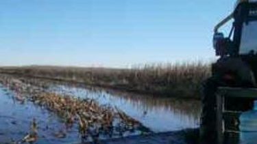 Persistirán las inundaciones en los campos argentinos