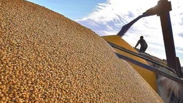 La cosecha de soja a nivel nacional llegó al 80 por ciento