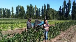 Más de 64 mil agricultores familiares fueron incluidos en el Renspa
