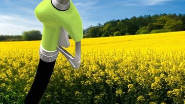 Piden elevar un 50% el corte obligatorio del gasoil con biodiésel