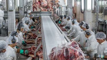 La faena vacuna se redujo levemente en agosto