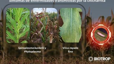 Un producto innovador para combatir las plagas en el campo.