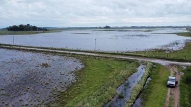 Las consecuencias del fenómeno meteorológico.