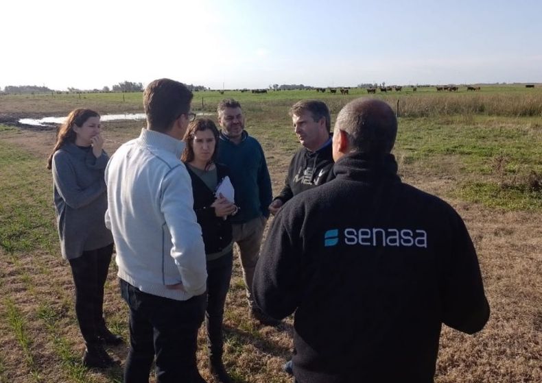 Argentina empezará a exportar carne bovina a Serbia