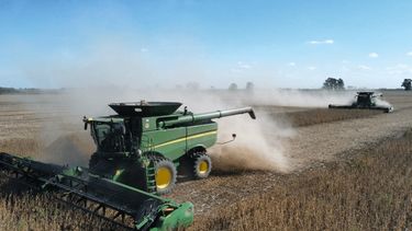 La producción de soja fue la peor en 20 años