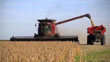 Ponen en marcha la baja temporal de las retenciones a la soja