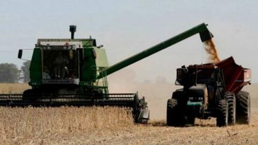 Cómo reducir pérdidas en las cosechas y obtener una mayor rentabilidad