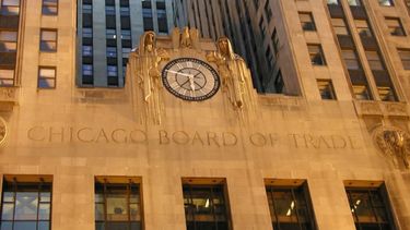 Soja y maíz cerraron la semana con cifras positivas en Chicago