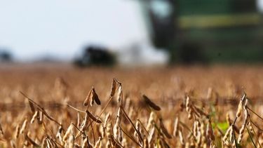 Los ruralistas denunciaron una carga fiscal insostenible para los productores.