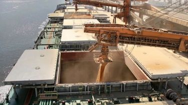 Malas noticias para los agroexportadores locales. Malas noticias para los agroexportadores locales.