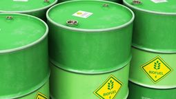 Prevén una caída anual de más de 25% en la producción de biocombustibles