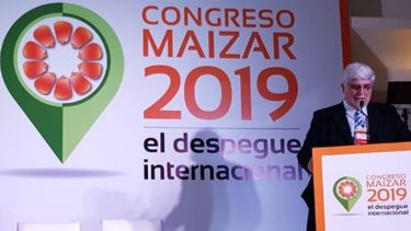 Qué pasará con el maíz argentino en el futuro cercano