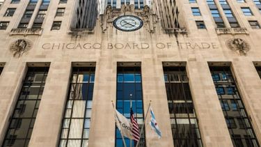 La soja descendió en Chicago pero subieron los cereales