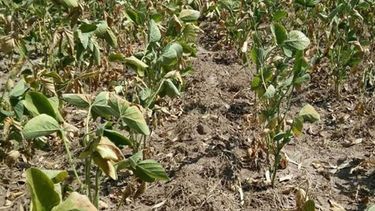 Localidades de 21 departamentos de Córdoba quedaron bajo emergencia