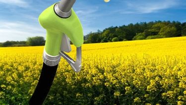 PYMES objetaron la decisión oficial de bajar el precio de los biocombustibles