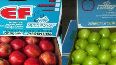 Ecofrut pidió ingresar en concurso de acreedores