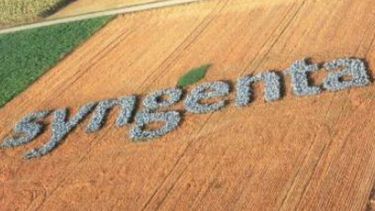 Syngenta pronosticó ventas récord para el 2013