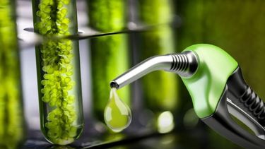 Llega un nuevo ajuste del precio del bioetanol