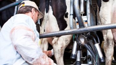 Inscripción al nuevo programa de asistencia “Impulso Tambero”