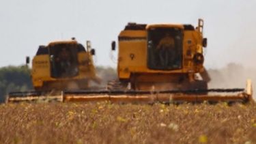 La cosecha de granos de Brasil alcanzaría un récord en 2018