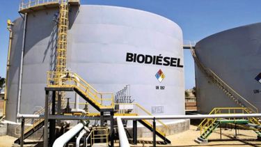 Piden subir la producción de biodiésel ante la falta de gasoil