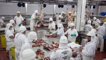 Frigoríficos recuperados piden un plan integral ganadero que los incluya