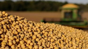 Los granos siguen subiendo en Chicago