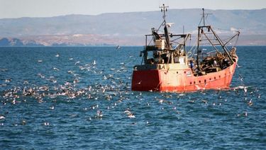 La pesca tuvo un avance cercano a 60 por ciento en marzo